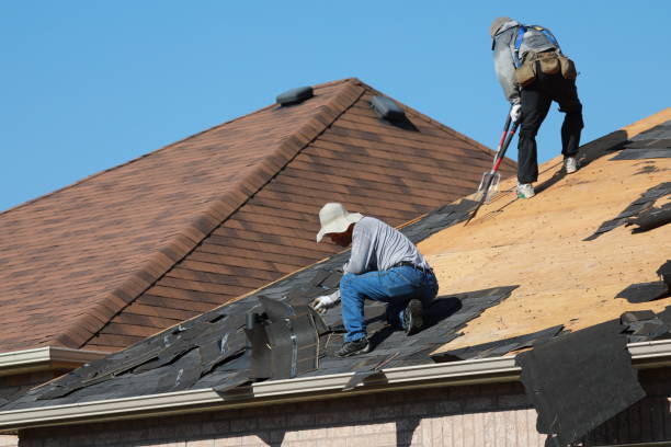 Best Skylight Installation and Repair  in Haverhill, FL